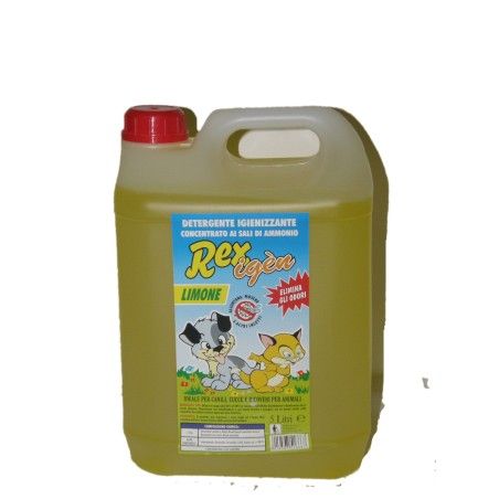 REX DETERGENTE CITRONELLA 5 LITRI