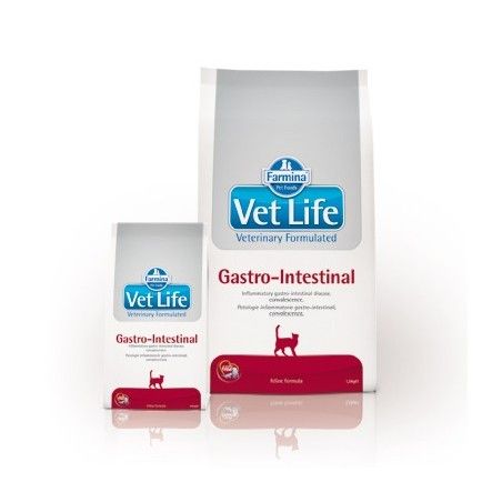 VETLIFE CAT GASTROINTESTINAL KG.2  