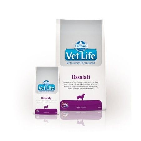 VETLIFE DOG OXALATE KG.2