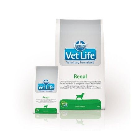 VETLIFE DOG RENAL KG.12 