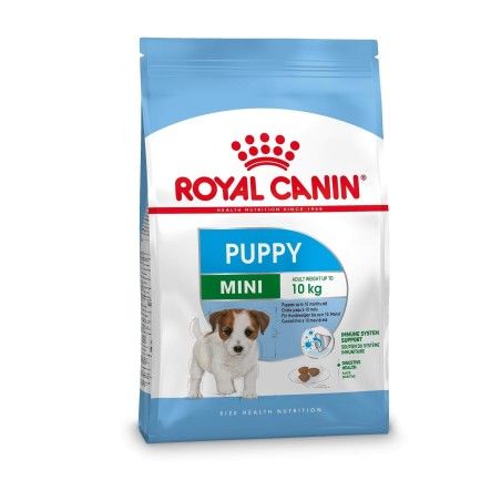 ROYAL CANIN MINI PUPPY KG.8