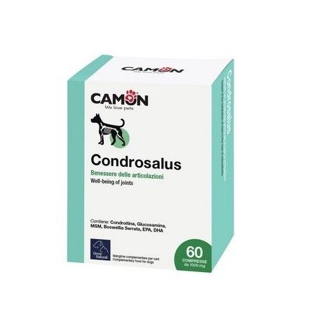 CAMON CONDROSALUS 60 COMPRESSE