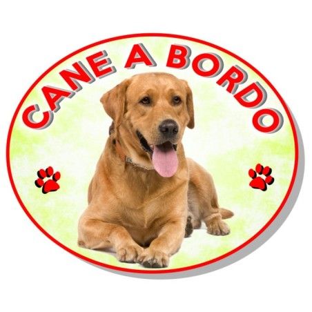 ADESIVO "CANE A BORDO" LABRADOR FULVO