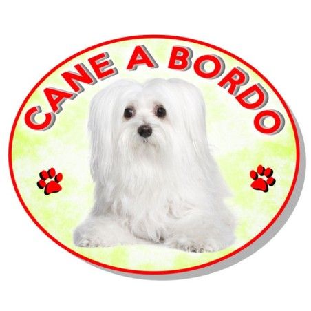 ADEISVO CANE A BORDO MALTESE