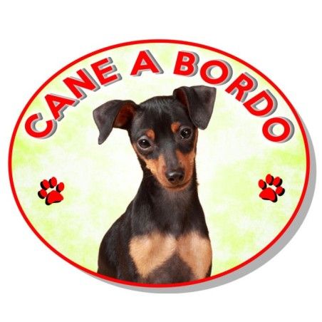 ADESIVO "CANE A BORDO" PINSCHER