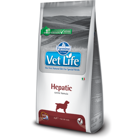 VETLIFE DOG HEPATIC KG.12