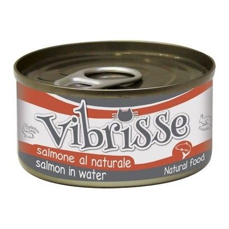 VIBRISSE GR.70 SALMONE