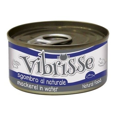 VIBRISSE GR.70 SGOMBRO 