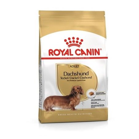 ROYAL CANIN BASSOTTO GR. 500 (DACHSHUND)