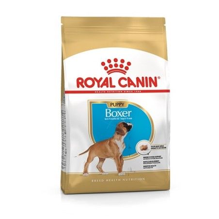 ROYAL CANIN BOXER  JUNIOR KG.12