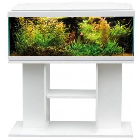 ACQUARIO MILO 100 LED LINE BIANCO + SUPPORTO