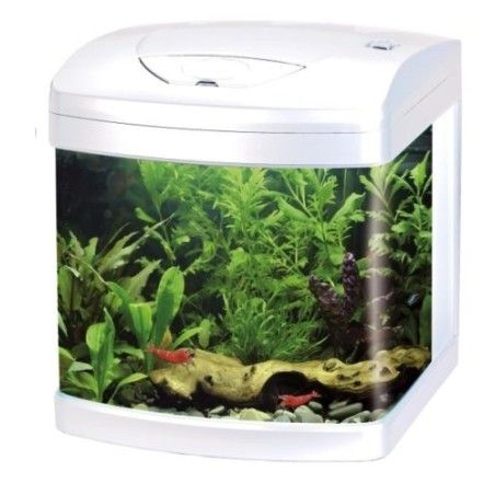 ACQUARIO XCUBE 26 BIANCO 