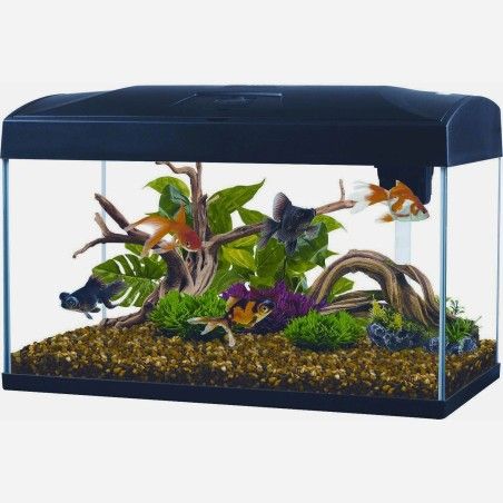 ACQUARIO BASIC 54 LED NERO 