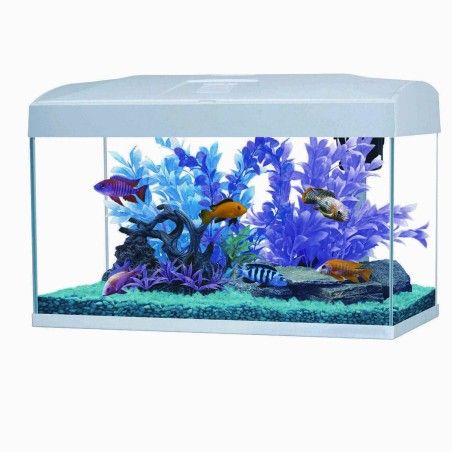 ACQUARIO BASIC LED 54 BIANCO 