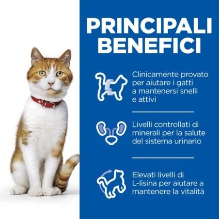 HILL'S SCIENCE PLAN STERILISED CAT ADULT ALIMENTO PER GATTI CON ANATRA GR. 300