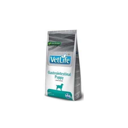 VETLIFE DOG GASTROINTESTINAL PUPPY KG. 2