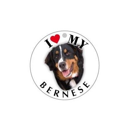 BERNESE_ADULTO - TONDA ( Dim. 30X30 )