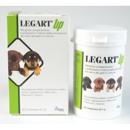 LEGART UP 60 COMPRESSE