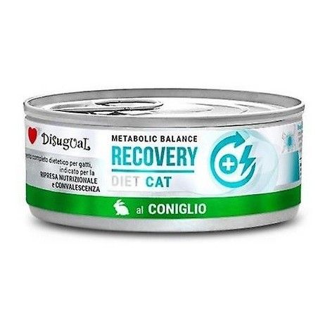 DISUGUAL DIET CAT RECOVERY GR 85 CONIGLIO