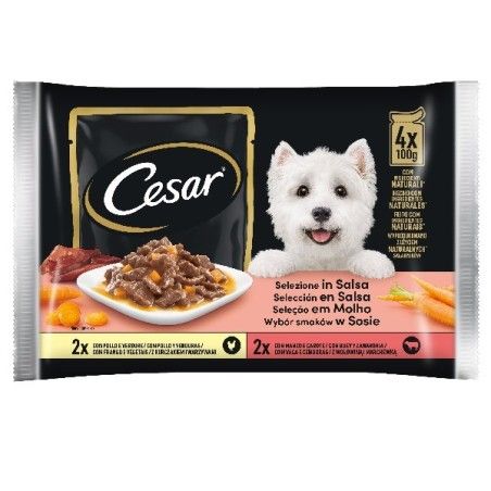 CESAR BUSTA 100GR X4 IN SALSA