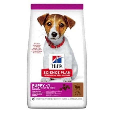 HILL'S HILL'S SCIENCE PLAN SMALL & MINI PUPPY ALIMENTO PER CUCCIOLI CON AGNELLO E RISO KG 1,5